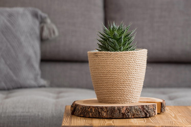 Similar image 21381690