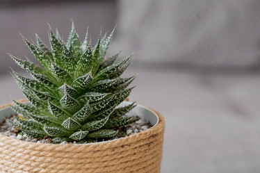 Similar image 21381691