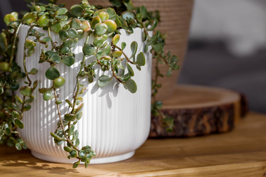 Similar image 21381692