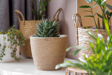 Similar image 21381694