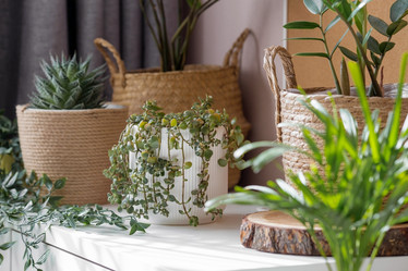 Similar image 21381695