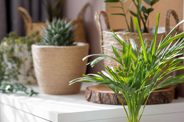 Similar image 21381696