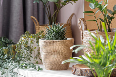 Similar image 21381697