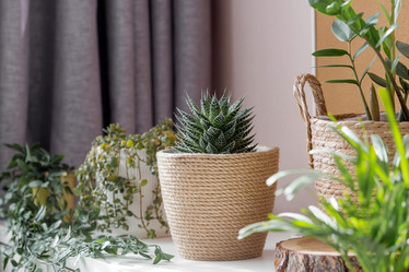 Similar image 21381698