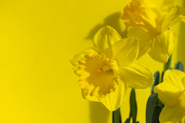 Similar image 21381832