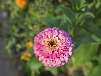 Similar image 21381839