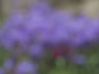 Similar image 21381842