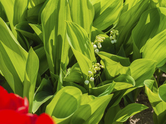 Similar image 21381843