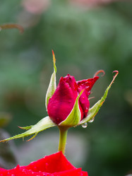 Similar image 21381848