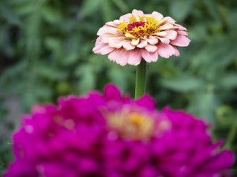 Similar image 21381849