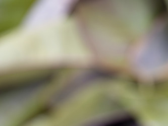 Similar image 21381850