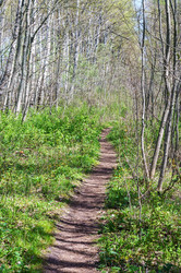 Similar image 21418939