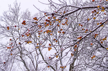 Similar image 21418943