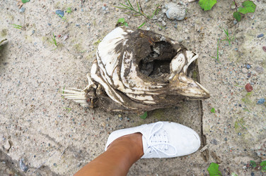 Similar image 21418947