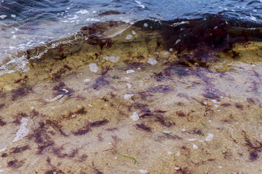 Similar image 21418950