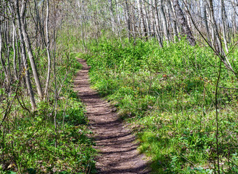 Similar image 21418954