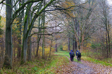 Similar image 21418958