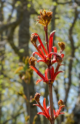 Similar image 21418959