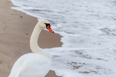 Similar image 21418964