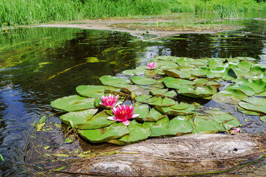 Similar image 21418976