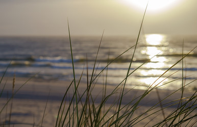 Similar image 21418985