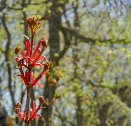 Similar image 21418987