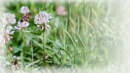 Similar image 21419003