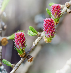 Similar image 21419005