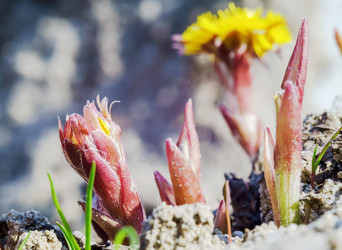 Similar image 21419007