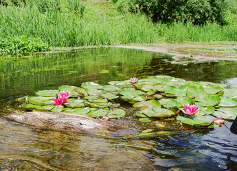 Similar image 21419010