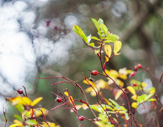 Similar image 21419012