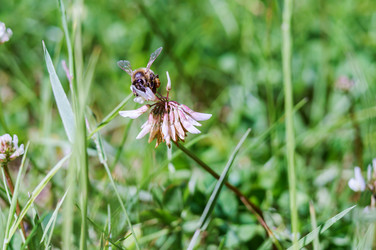 Similar image 21419013