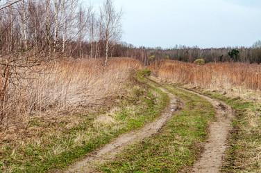 Similar image 21419015