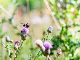 Similar image 21419018