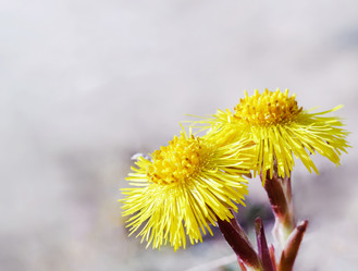 Similar image 21419019