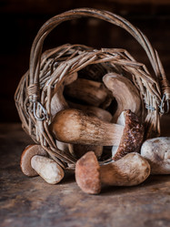 Similar image 21408736