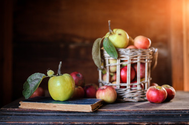 Similar image 21409171