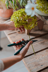 Similar image 21409215