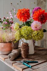 Similar image 21409219