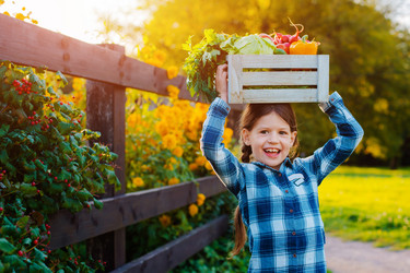 Similar image 21408832