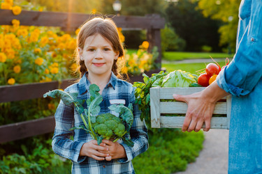 Similar image 21408837