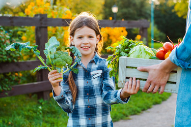 Similar image 21408840