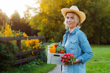 Similar image 21408854