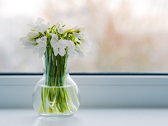 Similar image 21409484