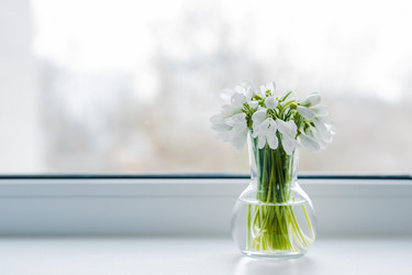 Similar image 21409485