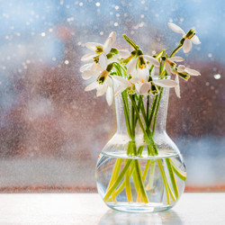 Similar image 21409059