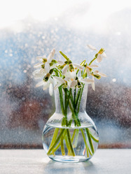 Similar image 21409061