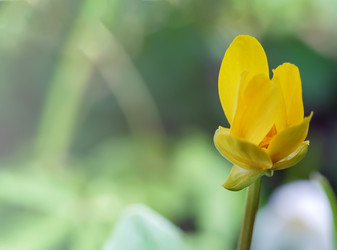 Similar image 21402689