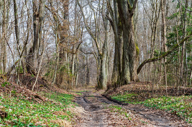 Similar image 21419020