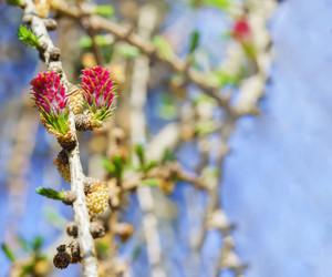 Similar image 21402692